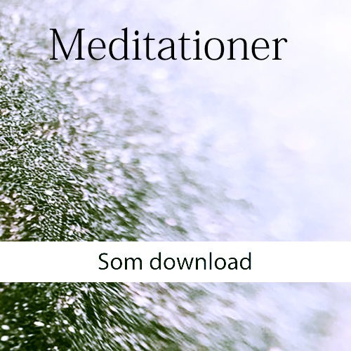 Foredrag for sjælen (Meditationer) download