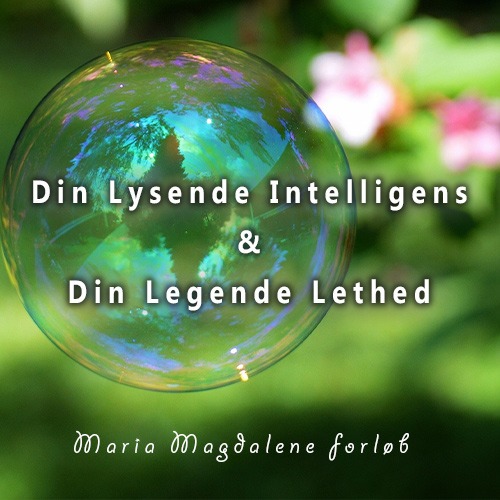 Din Lysende Intelligens og Din Legende Lethed - Maria Magdalene Videoforløb