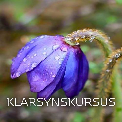 Klarsynskursus 11.- 12. December - Online