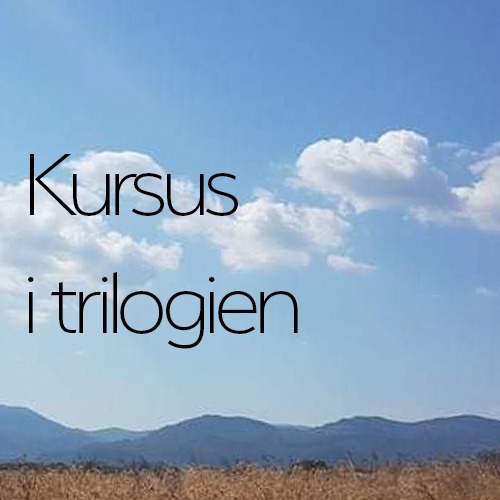 Kursus i Trilogien - Karmic, Soul & Human Power Release d. 7/10, 8/10 og 9/10