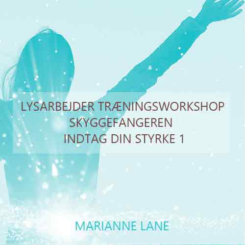 Lysarbejder TræningsWorkshop: Skyggefangeren - Indtag din styrke 1 - 12/10