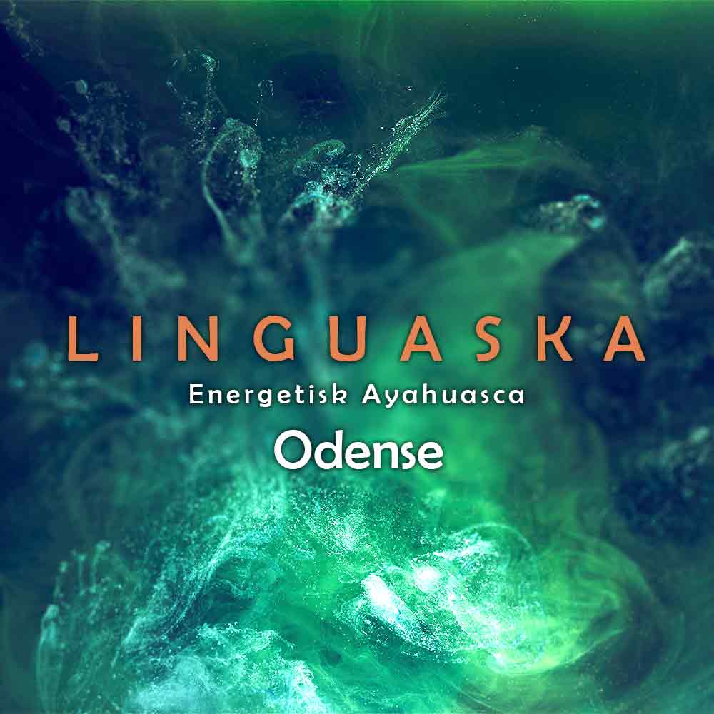 Linguaska - Energetisk Ayahuasca - 21/3 - Odense