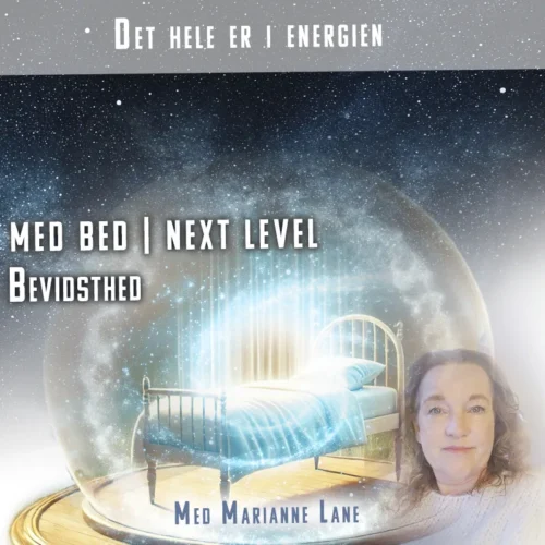 Med Bed Next Level - Bevidsthed