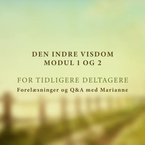 Den Indre Visdom Modul 1 og 2 for tidligere deltagere