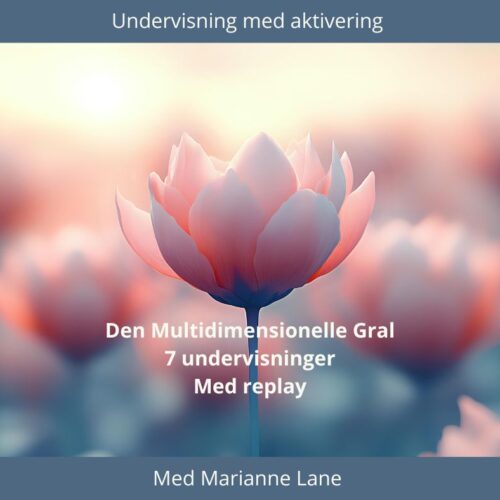 Den Multidimensionelle Gral