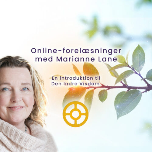 Online-forelæsning d 16/9 | Tema: Energisystemet