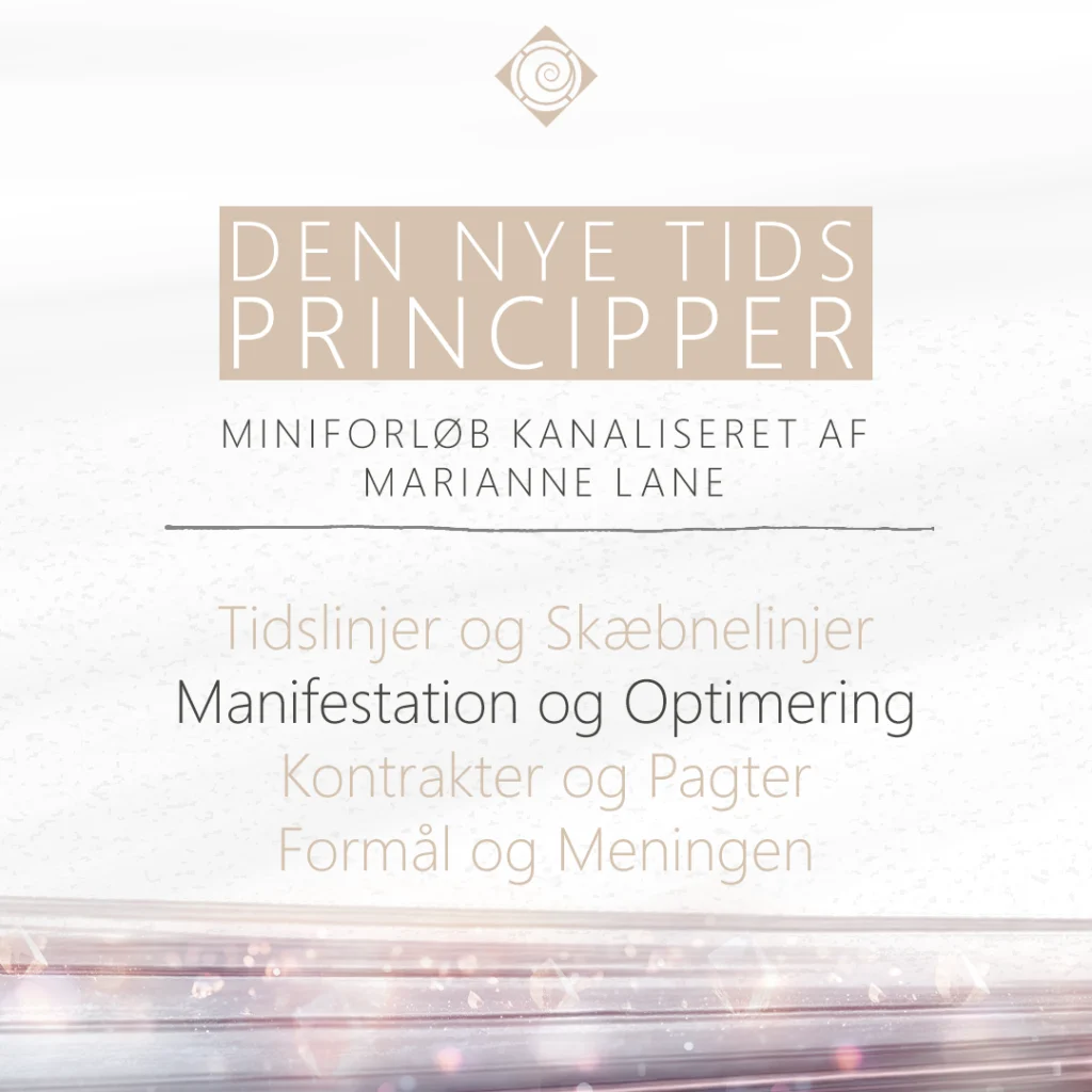 Ny Tids Principper - Manifestation og Optimering shop